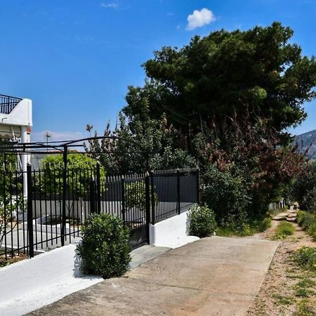 Μονοκατοικία Δίπλα Στην Θάλασσα Salamis Bagian luar foto